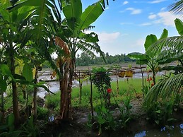 Viveka Inn Guest