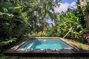 The Hidden Paradise Ubud