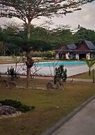 Paradis Vert