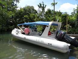 Paradis Vert