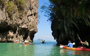 Paradis Vert