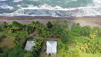 Casa Turtle Bogue - Hostel