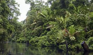 Casa Turtle Bogue - Hostel