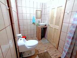 Casa Turtle Bogue - Hostel