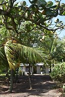 Casa Turtle Bogue - Hostel