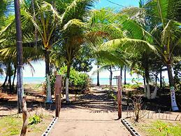 Casa Turtle Bogue - Hostel