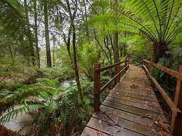 The Source Otways