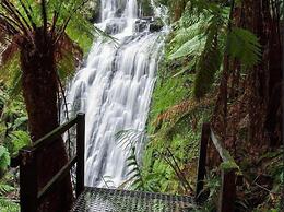 The Source Otways