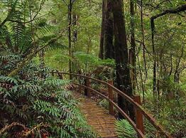 The Source Otways