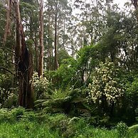 The Source Otways