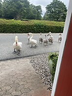 Møllehuset