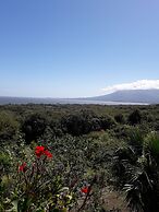 El Mirador Ecológico