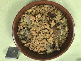 L'Agapanthe