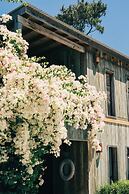 Casa Flor - Adults Only