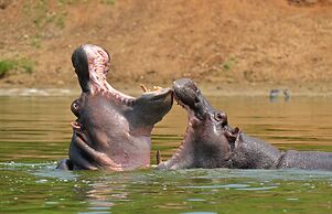 Buffalo Safari Lodge