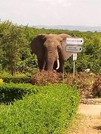 Buffalo Safari Lodge