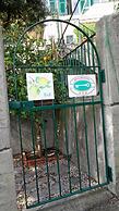 La Casa dei Limoni