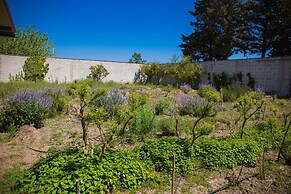 Agriturismo biologico Piccapane