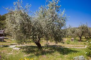 Agriturismo biologico Piccapane