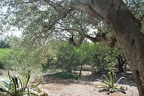 Villa La Mascherada