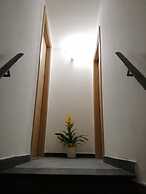 Domus 19