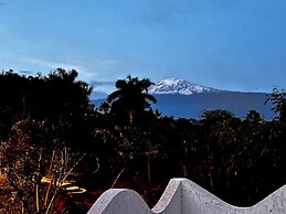 PINK FLAMINGO BOUTIQUE HOTEL