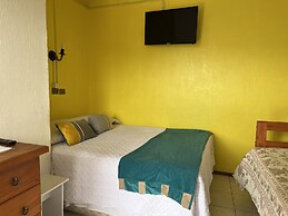 Hostal Avenue
