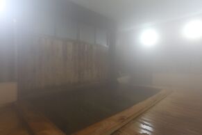 Hatsunoyu hotel