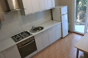 Apartment on Tulpanov St. 1-3
