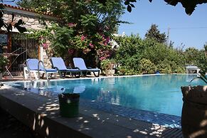 Important Group Villa Citrus