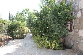 Important Group Villa Citrus