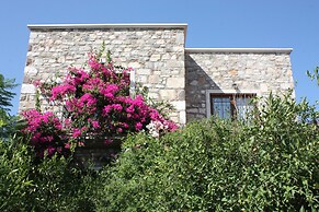 Important Group Villa Citrus