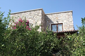 Important Group Villa Citrus