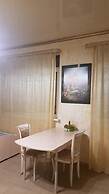 Apartment on Kamyshovaya 41, apt 2