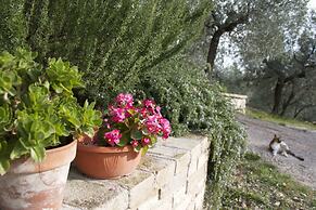 B&B Lavanda e Rosmarino
