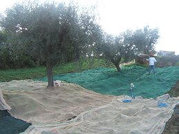 Agriturismo Il Vecchio Carro