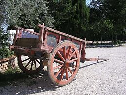 Agriturismo Il Vecchio Carro