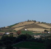 Agriturismo Il Vecchio Carro