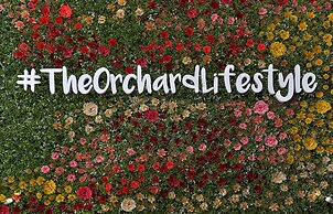 The Orchard Hotel Baguio