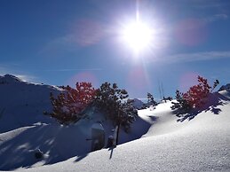 Scheulinghof