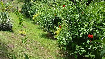 Fijian Oasis