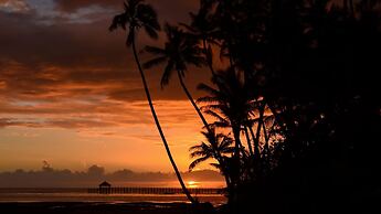 Fijian Oasis