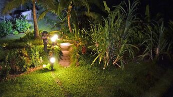 Fijian Oasis