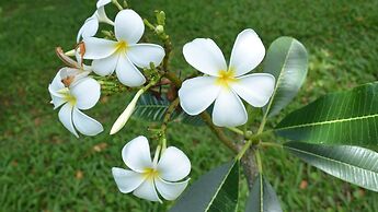 Fijian Oasis