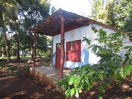 Rosa's Lake Cabins
