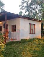 Rosa's Lake Cabins