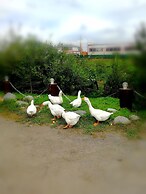 Hutorok
