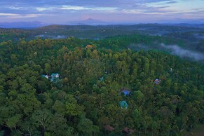 The Woods Resorts Wayanad