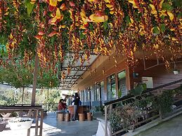 Xu Jia Chayuan B&B
