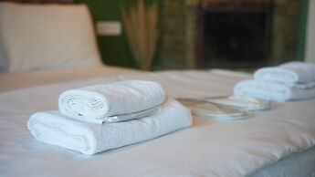 Agva Tree Tops Park Hotel